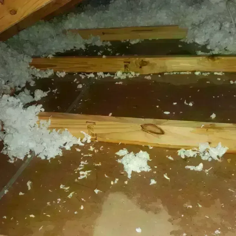 Attic Water Damage in Hicksville, OH