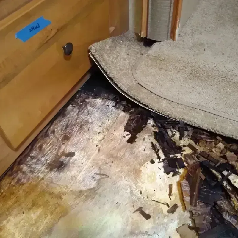 Wood Floor Water Damage in Hicksville, OH